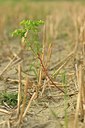 BUITEN BEELD Foto: 237626