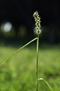 BUITEN BEELD Foto: 237689