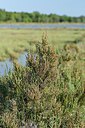 BUITEN BEELD Foto: 237711