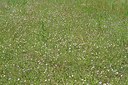 BUITEN BEELD Foto: 237783