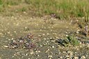 BUITEN BEELD Foto: 237786