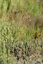 BUITEN BEELD Foto: 237790