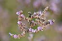 BUITEN BEELD Foto: 237800