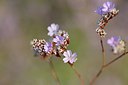 BUITEN BEELD Foto: 237802