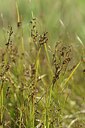 BUITEN BEELD Foto: 237815