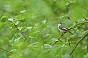 BUITEN BEELD Foto: 237827