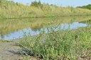 BUITEN BEELD Foto: 237829