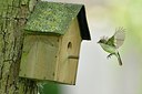 BUITEN BEELD Foto: 237832