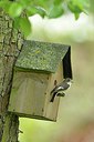 BUITEN BEELD Foto: 237835