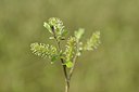 BUITEN BEELD Foto: 237947