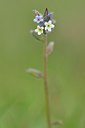 BUITEN BEELD Foto: 237995