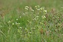 BUITEN BEELD Foto: 238000