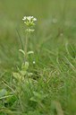 BUITEN BEELD Foto: 238001