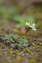 BUITEN BEELD Foto: 238009