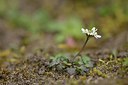BUITEN BEELD Foto: 238010