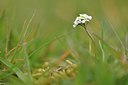 BUITEN BEELD Foto: 238011