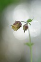 BUITEN BEELD Foto: 238062