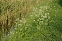 BUITEN BEELD Foto: 238123