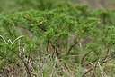 BUITEN BEELD Foto: 238174