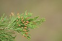 BUITEN BEELD Foto: 238177