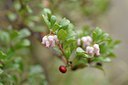 BUITEN BEELD Foto: 238182