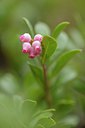 BUITEN BEELD Foto: 238186