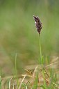 BUITEN BEELD Foto: 238198