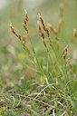 BUITEN BEELD Foto: 238229