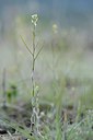 BUITEN BEELD Foto: 238244