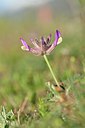 BUITEN BEELD Foto: 238295