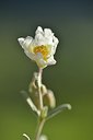 BUITEN BEELD Foto: 238305