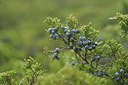 BUITEN BEELD Foto: 238346
