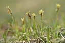 BUITEN BEELD Foto: 238407