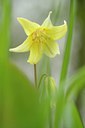 BUITEN BEELD Foto: 238455