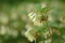 BUITEN BEELD Foto: 238457