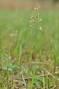 BUITEN BEELD Foto: 238554