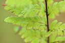 BUITEN BEELD Foto: 238556