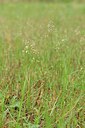 BUITEN BEELD Foto: 238559