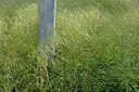 BUITEN BEELD Foto: 238646