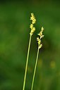 BUITEN BEELD Foto: 238652