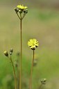 BUITEN BEELD Foto: 238682