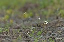 BUITEN BEELD Foto: 238692