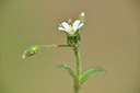BUITEN BEELD Foto: 238722