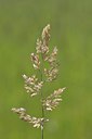 BUITEN BEELD Foto: 238730