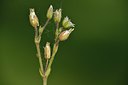 BUITEN BEELD Foto: 238755