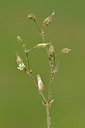 BUITEN BEELD Foto: 238756