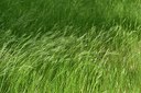 BUITEN BEELD Foto: 238758