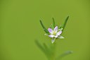BUITEN BEELD Foto: 238761