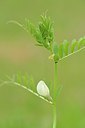 BUITEN BEELD Foto: 238771