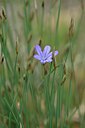 BUITEN BEELD Foto: 238795